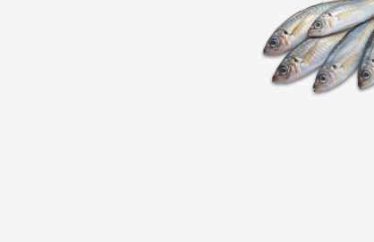 Vitamin B12