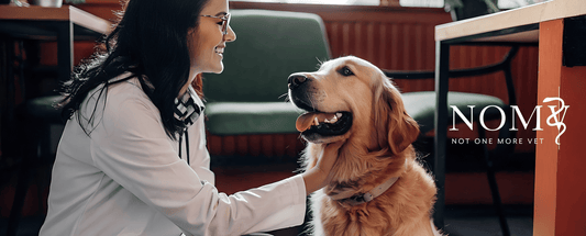 Supporting Those Who Care for Our Pets: Wuffes Partners with Not One More Vet (NOMV)
