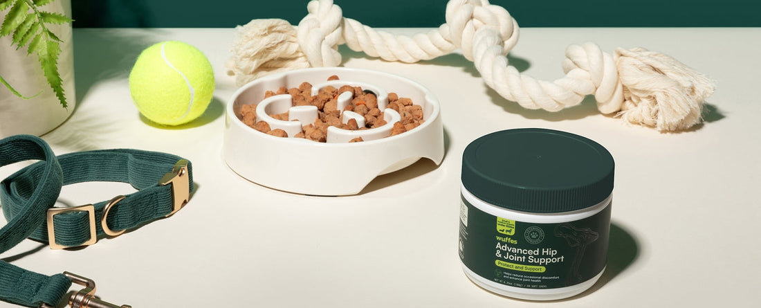 When Should I Start Giving My Dog Joint Supplements?