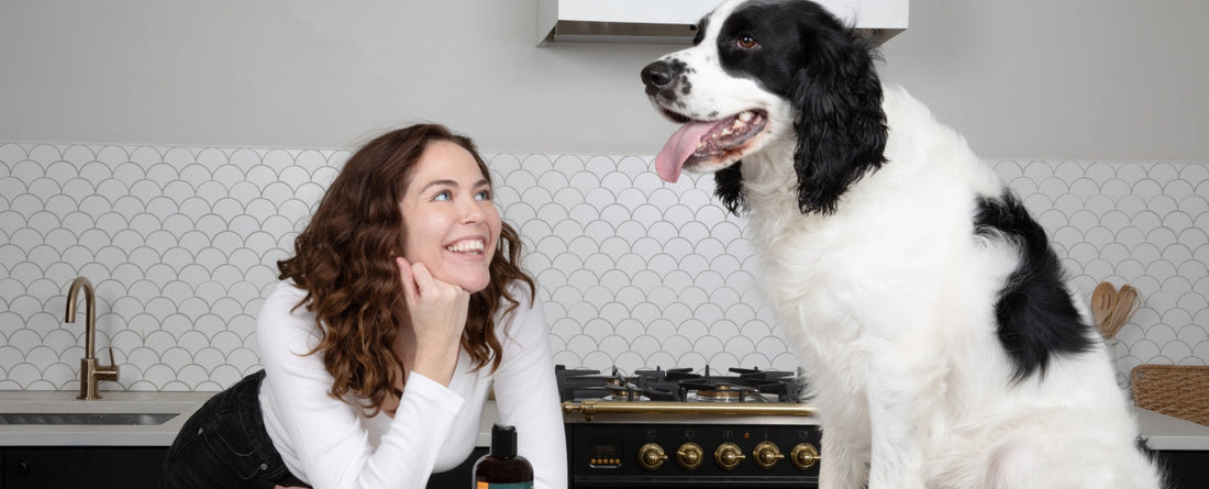 Why Vets Recommend Dog Joint Supplements