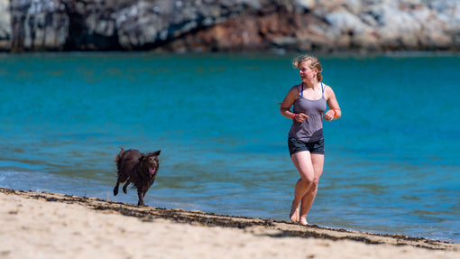 Why Is Exercise So Important For Dogs?