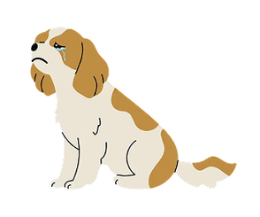 Illustration of a sad brown and white dog sitting with a tear on its face