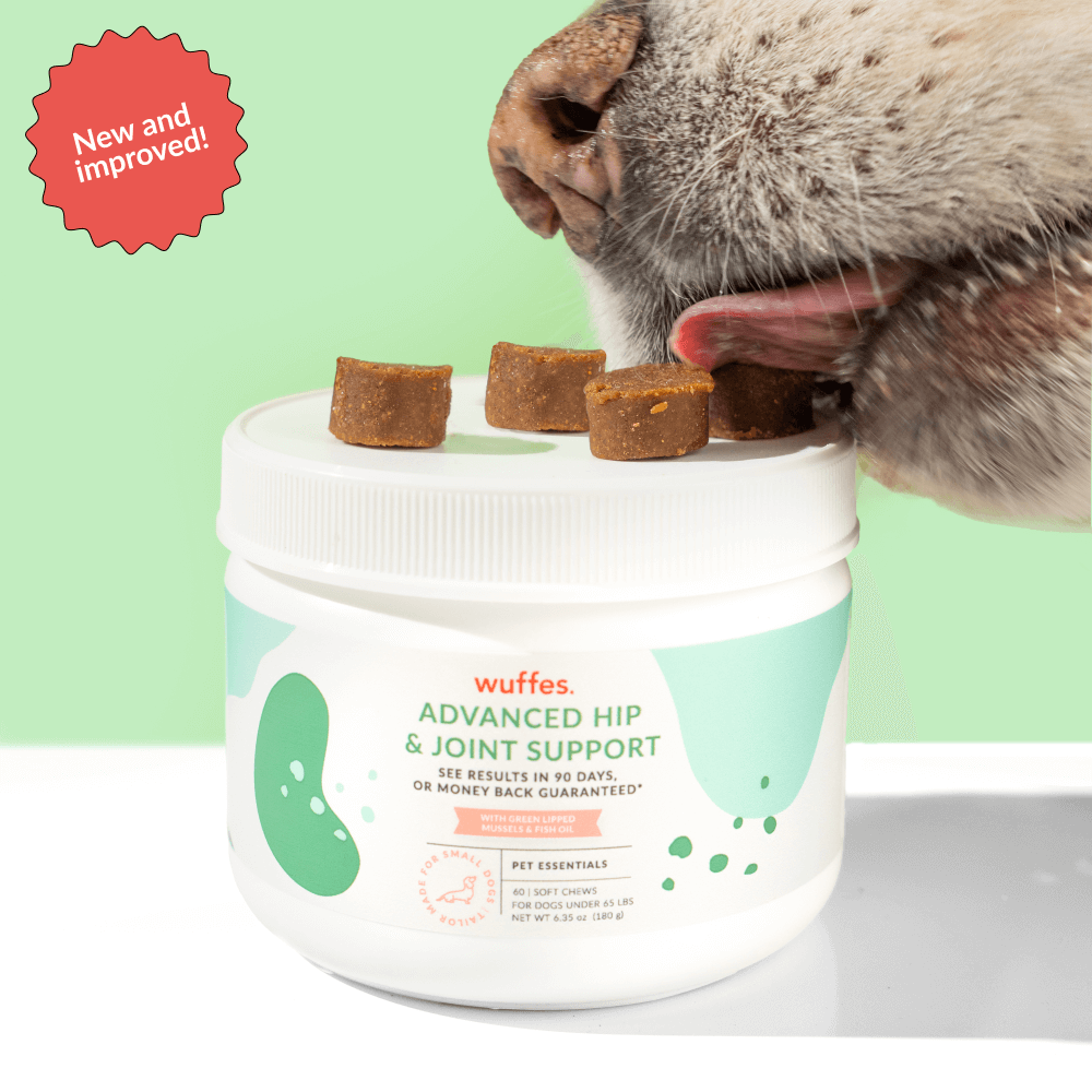 Advanced Hip & Joint Support for Small & Medium Breeds