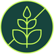 GMO, Homone & Antibiotic Free