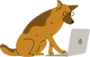 Dog with a laptop