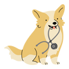 Dog with a stethoscope