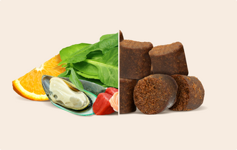 Wuffes Ingredients
