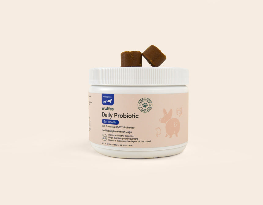 White container of daily probiotic supplement for dogs with two brown chew pieces on top