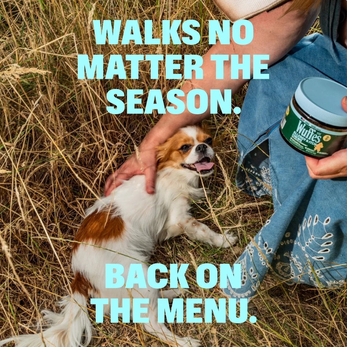 Allergy & Itch Chews slide: WALKS NO MATTER THE SEASON. BACK ON THE MENU.