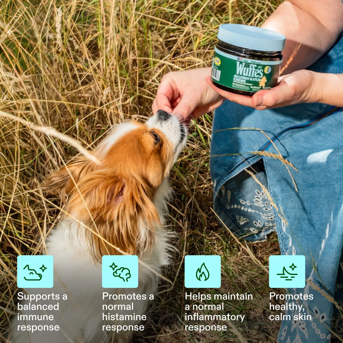 Allergy & Itch Chews slide: Supports a balanced immune response. Promotes a normal histamine response. Helps maintain a normal inflammatory response. Promotes healthy, calm skin.