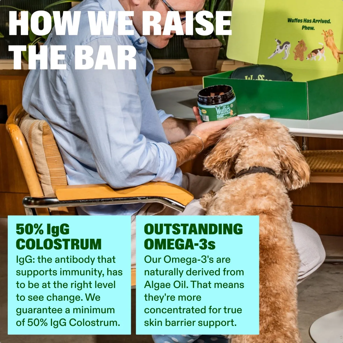 Allergy & Itch Chews slide: how we raise the bar. 50% IgG COLOSTRUM. OUTSTANDING OMEGA-3s. IgG: the antibody that supports immunity, has to be at the right level to see change. We guarantee a minimum of 50% IgG Colostrum. Our Omega-3's are naturally derived from Algae Oil. That means they're more concentrated for true skin barrier support.