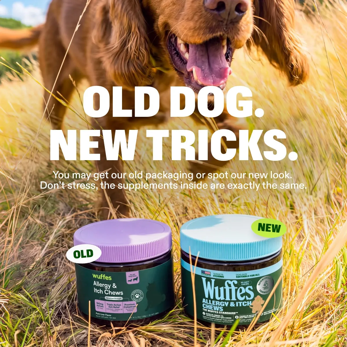 Allergy & Itch Chews slide: Old dog. New tricks. You may get our old packaging or spot our new look. Don’t stress, the supplements inside are exactly the same.