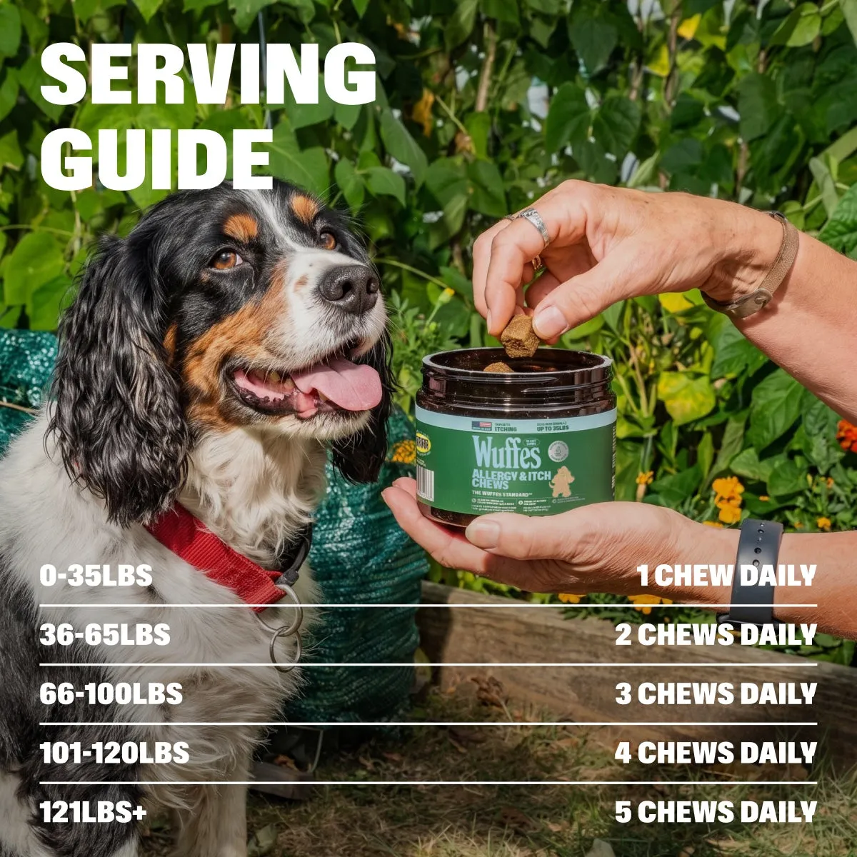 Allergy & Itch Chews slide: serving guide. 0-35lbs. 1 Chew Daily. 36-65lbs. 2 Chews Daily. 66-100lbs. 3 Chews Daily. 101-120lbs. 4 Chews Daily. 121lbs+. 5 Chews Daily.