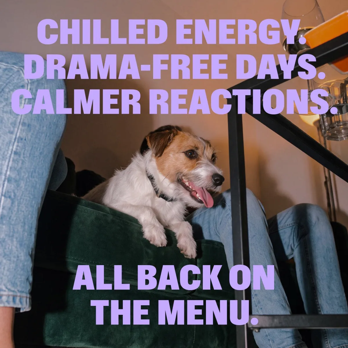 Calming Chews slide: CHILLED ENERGY. DRAMA-FREE days. CALMER REACTIONS. ALL BACK ON THE MENU.