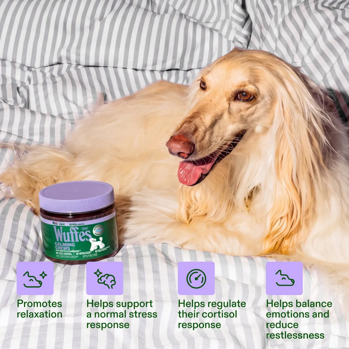 Calming Chews slide: Promotes relaxation. Helps support a normal stress response. Helps regulate their cortisol response. Helps balance emotions and reduce restlessness.