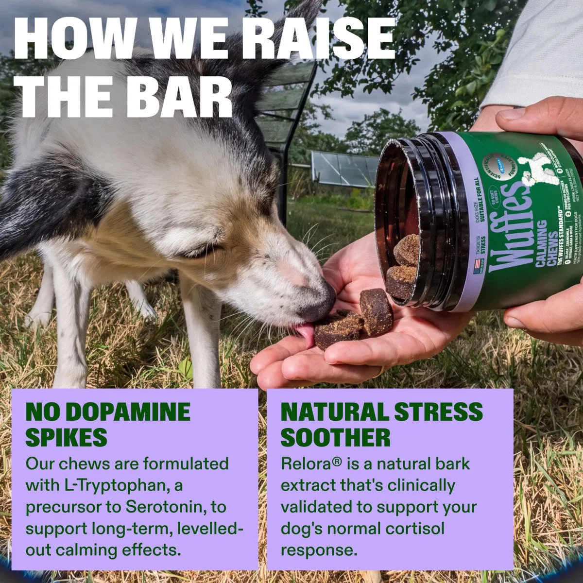 Calming Chews slide: how we raise the bar. NO DOPAMINE SPIKES. NATURAL STRESS SOOTHER. Our chews are formulated with L-Tryptophan, a precursor to Serotonin, to support long-term, levelled-out calming effects. Relora® is a natural bark extract that's clinically validated to support your dog's normal cortisol response.