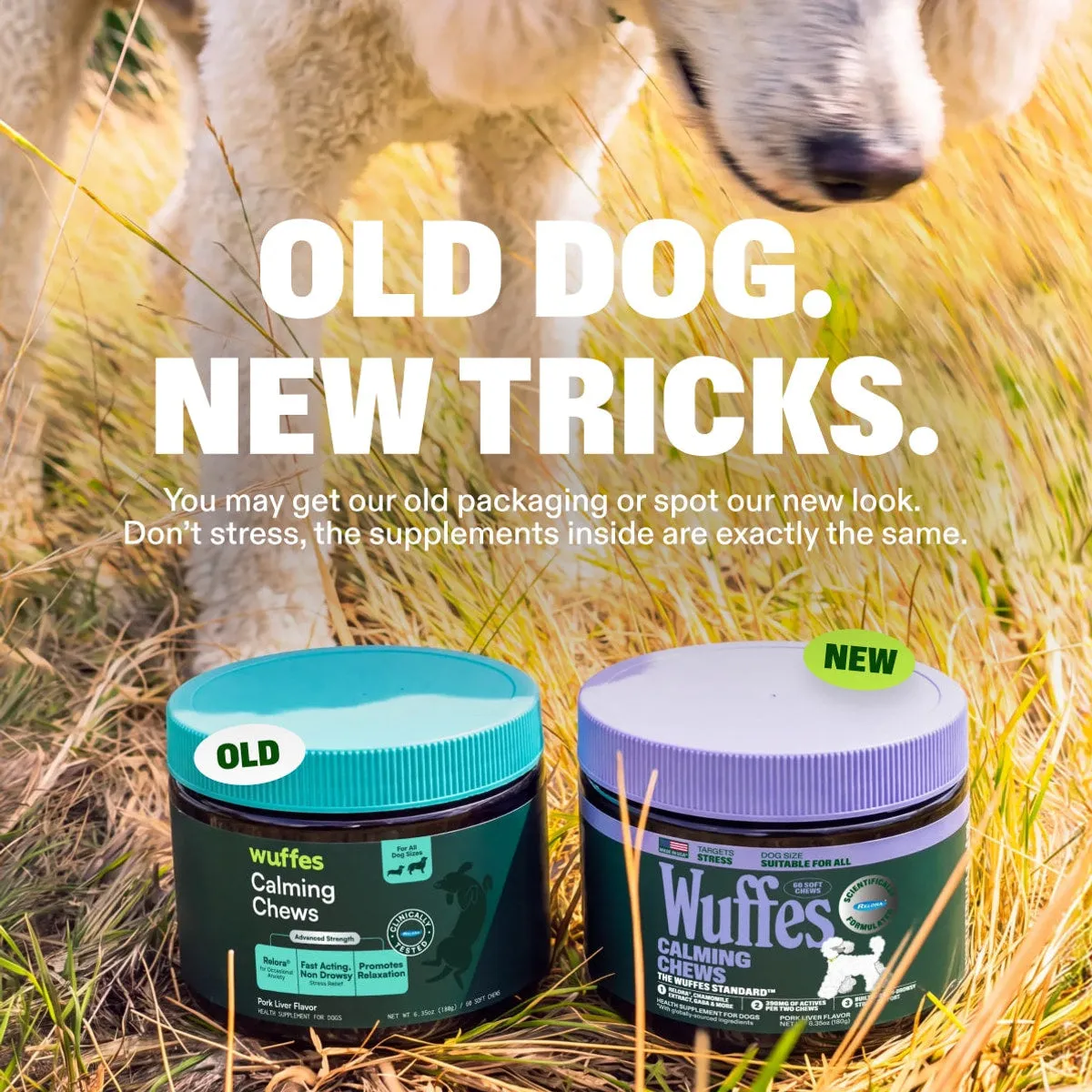 Calming Chews slide: Old dog. New tricks. You may get our old packaging or spot our new look. Don’t stress, the supplements inside are exactly the same.