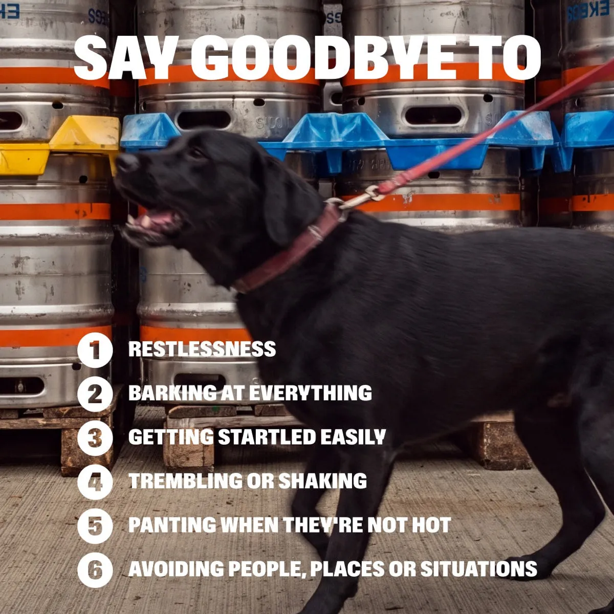 Calming Chews slide: SAY GOODBYE TO. RESTLESSNESS. Barking at everything. GETTING Startled easily. Trembling or shaking. Panting when they're not hot. Avoiding people, places or situations.