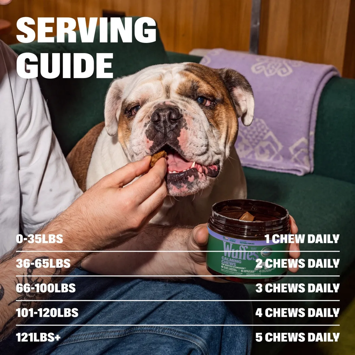 Calming Chews slide: serving guide. 0-35lbs. 1 Chew Daily. 36-65lbs. 2 Chews Daily. 66-100lbs. 3 Chews Daily. 101-120lbs. 4 Chews Daily. 121lbs+. 5 Chews Daily.