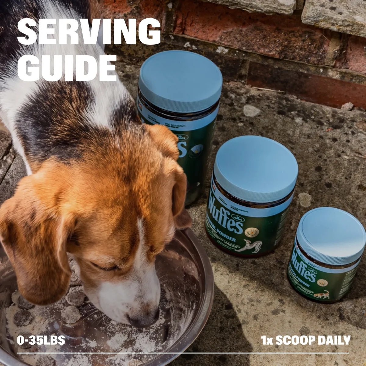 Dental Powder slide: serving guide. 0-35lbs. 1x SCOOP DAILY.