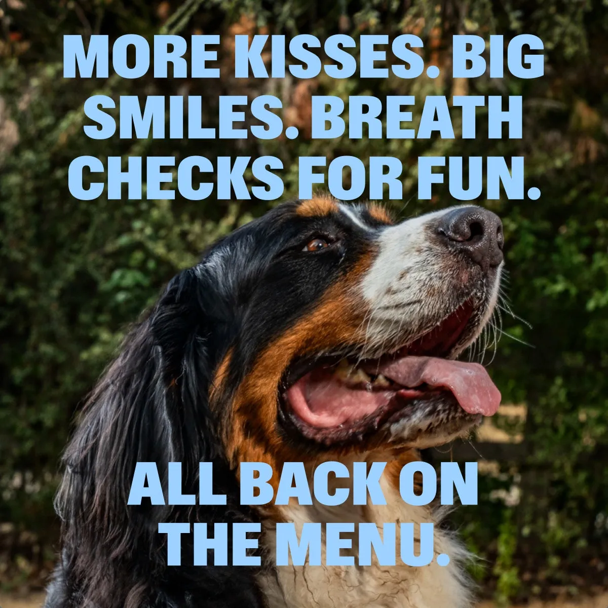 Dental Powder slide: MORE KISSES. BIG SMILES. BREATH CHECKS FOR FUN. ALL BACK ON THE MENU.