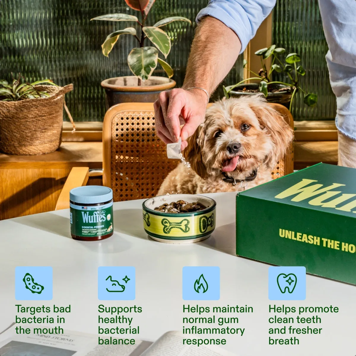 Dental Powder slide: Targets bad bacteria in the mouth. Supports healthy bacterial balance. Helps maintain normal gum inflammatory response. Helps promote clean teeth and fresher breath.