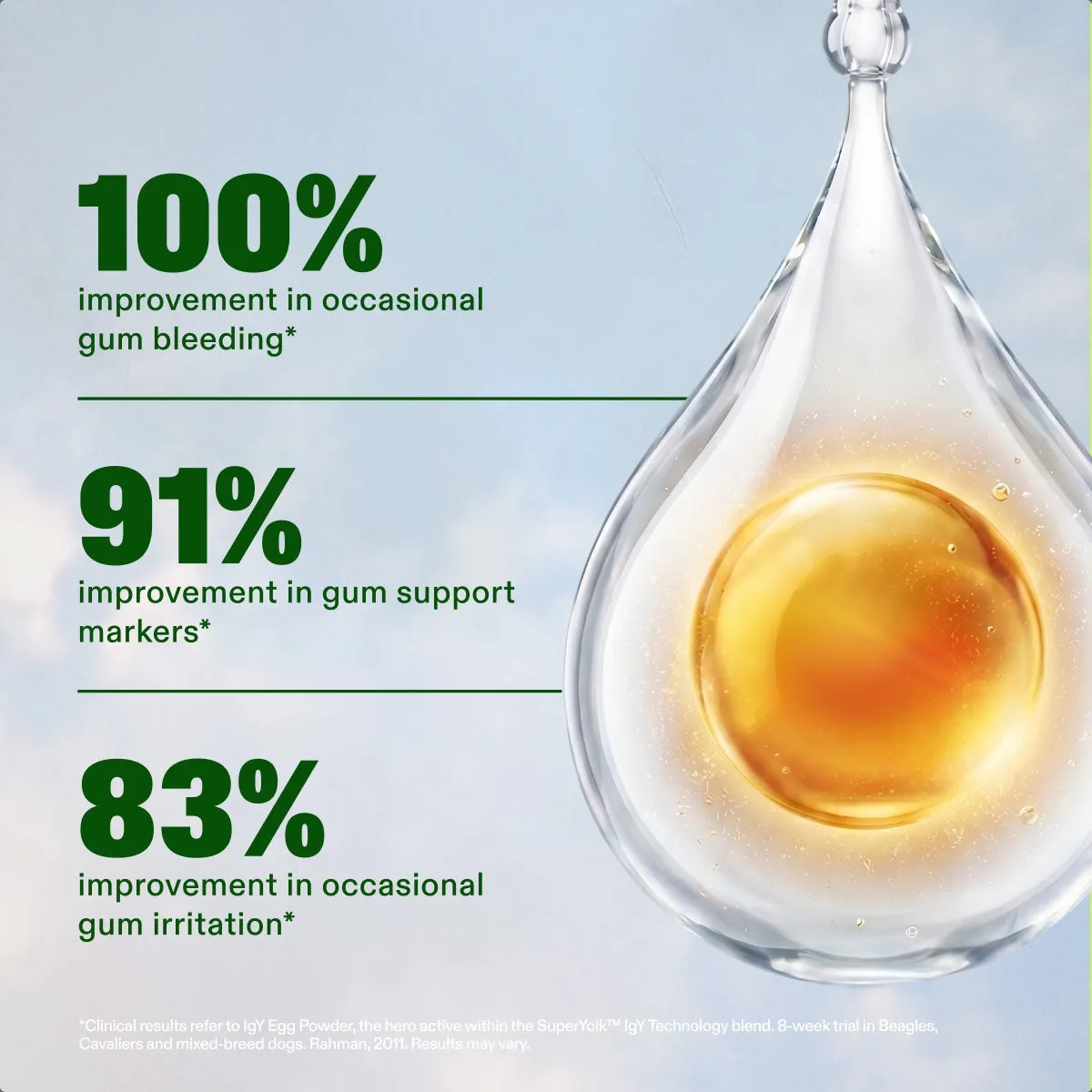 Dental Powder slide: 100% improvement in occasional gum bleeding*. 91% improvement in gum support markers*. 83% improvement in occasional gum irritation*. *Clinical results refer to IgY Egg Powder, the hero active within the SuperYolk™ IgY Technology blend. 8-week trial in Beagles, Cavaliers and mixed-breed dogs. Rahman, 2011. Results may vary.