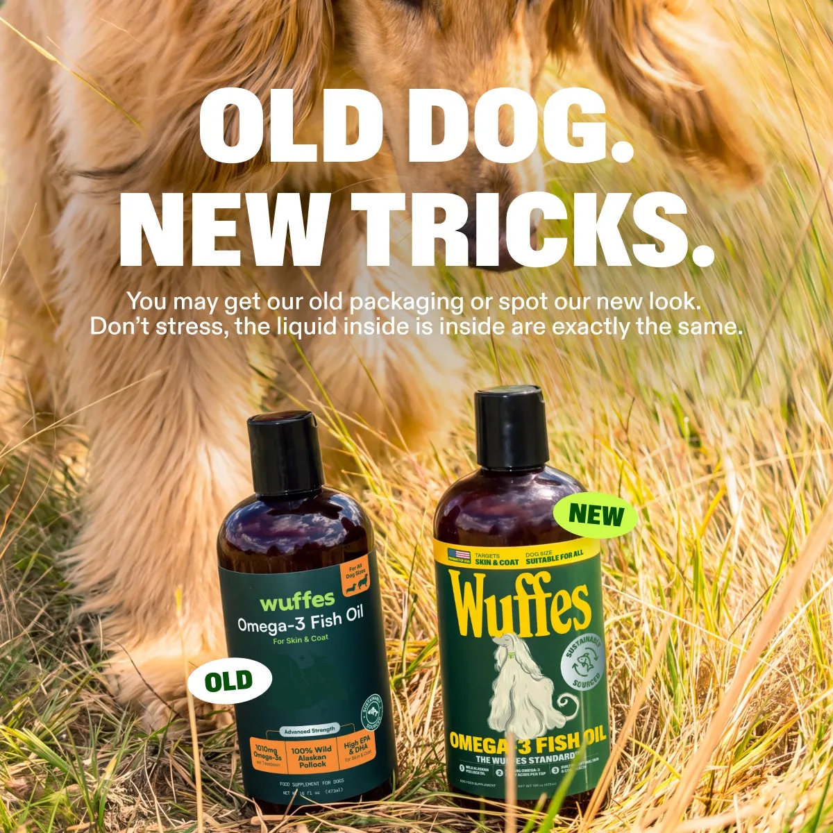 Omega-3 Fish Oil slide: Old dog. New tricks. You may get our old packaging or spot our new look. Don’t stress, the liquid inside is exactly the same.