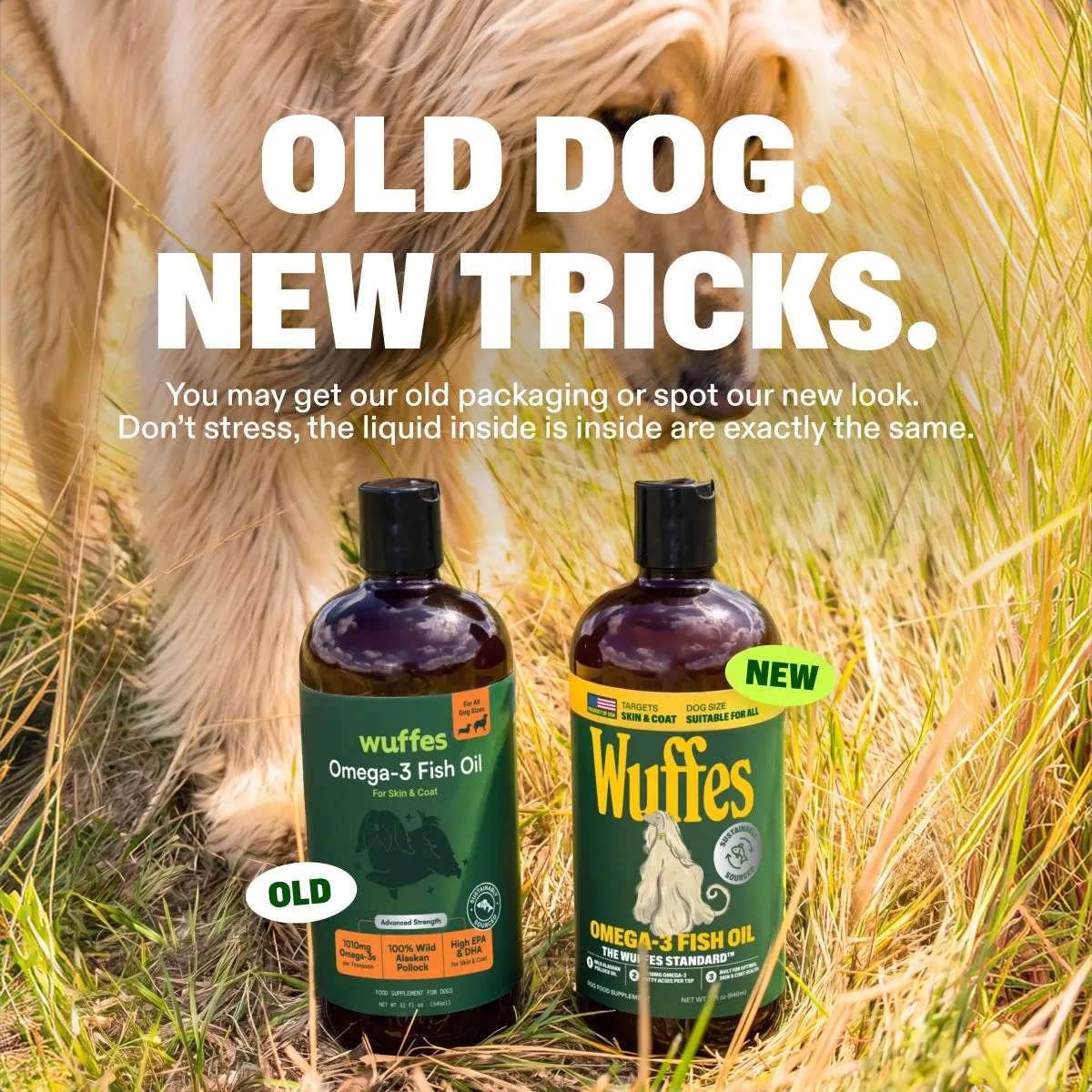Omega-3 Fish Oil slide: Old dog. New tricks. You may get our old packaging or spot our new look. Don’t stress, the liquid inside is exactly the same.