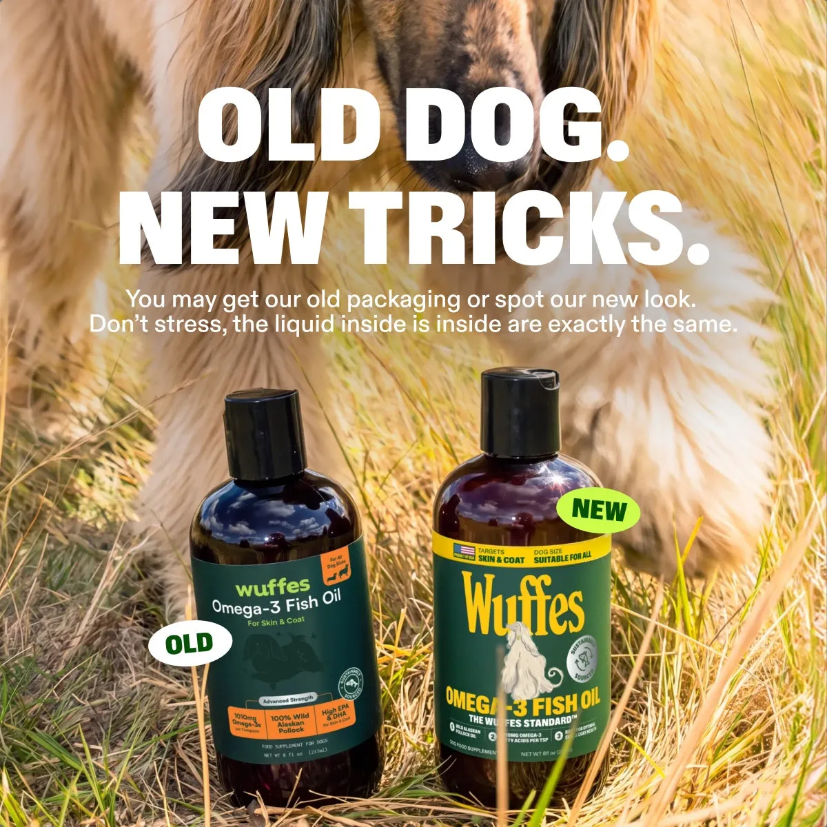 Omega-3 Fish Oil slide: Old dog. New tricks. You may get our old packaging or spot our new look. Don’t stress, the liquid inside is exactly the same.