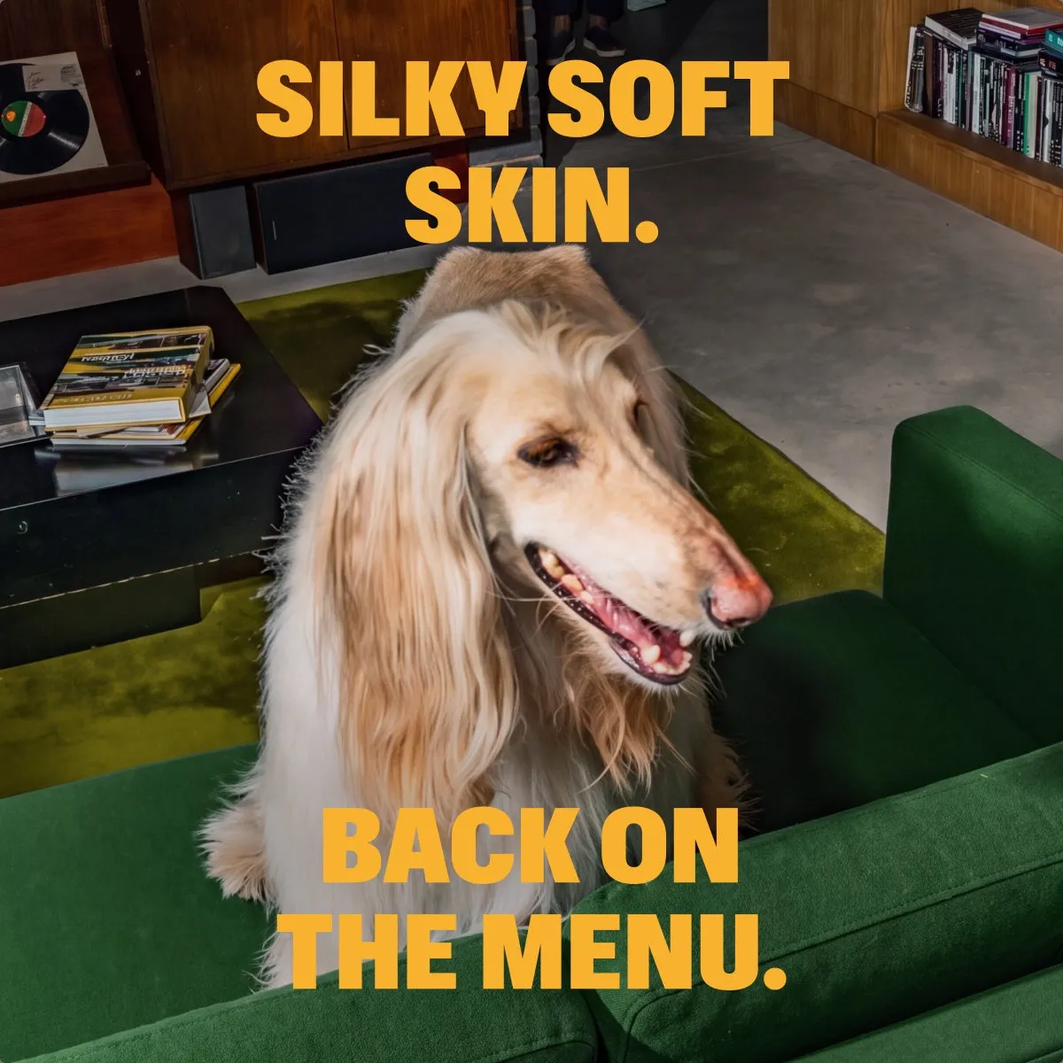 Omega-3 Fish Oil slide: SILKY SOFT SKIN. BACK ON THE MENU.