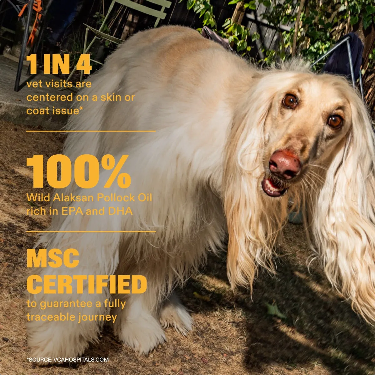 Omega-3 Fish Oil slide: 1 in 4 vet Visits Are Centered on a Skin or Coat Issue*. 100% Wild Alaskan Pollock Oil rich in EPA and DHA. MSC Certified to guarantee a fully traceable journey. *SOURCE: VCAHOSPITALS.COM.