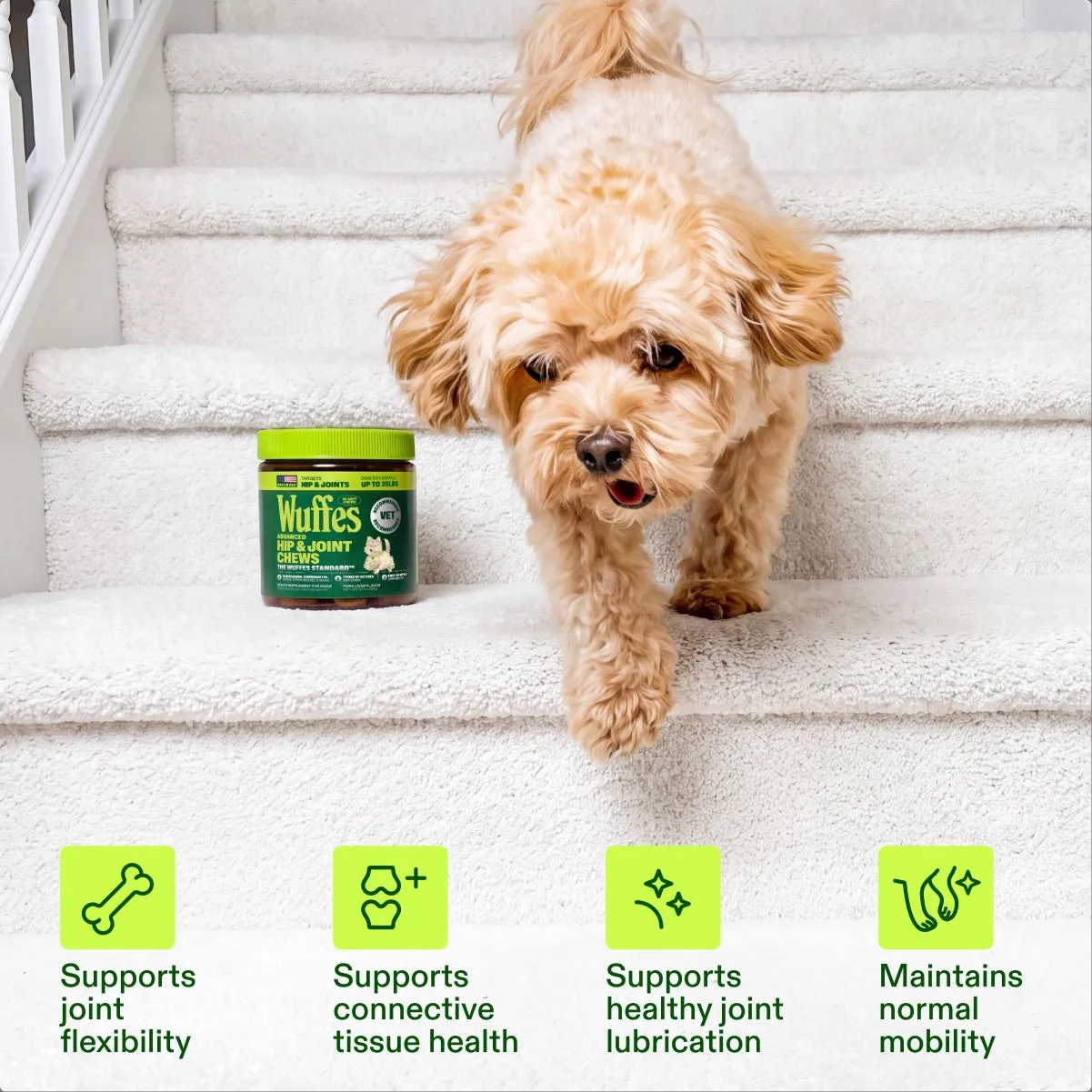 Advanced Hip & Joint Chews slide: Supports joint flexibility. Supports connective tissue health. Supports healthy joint lubrication. Maintains normal mobility.