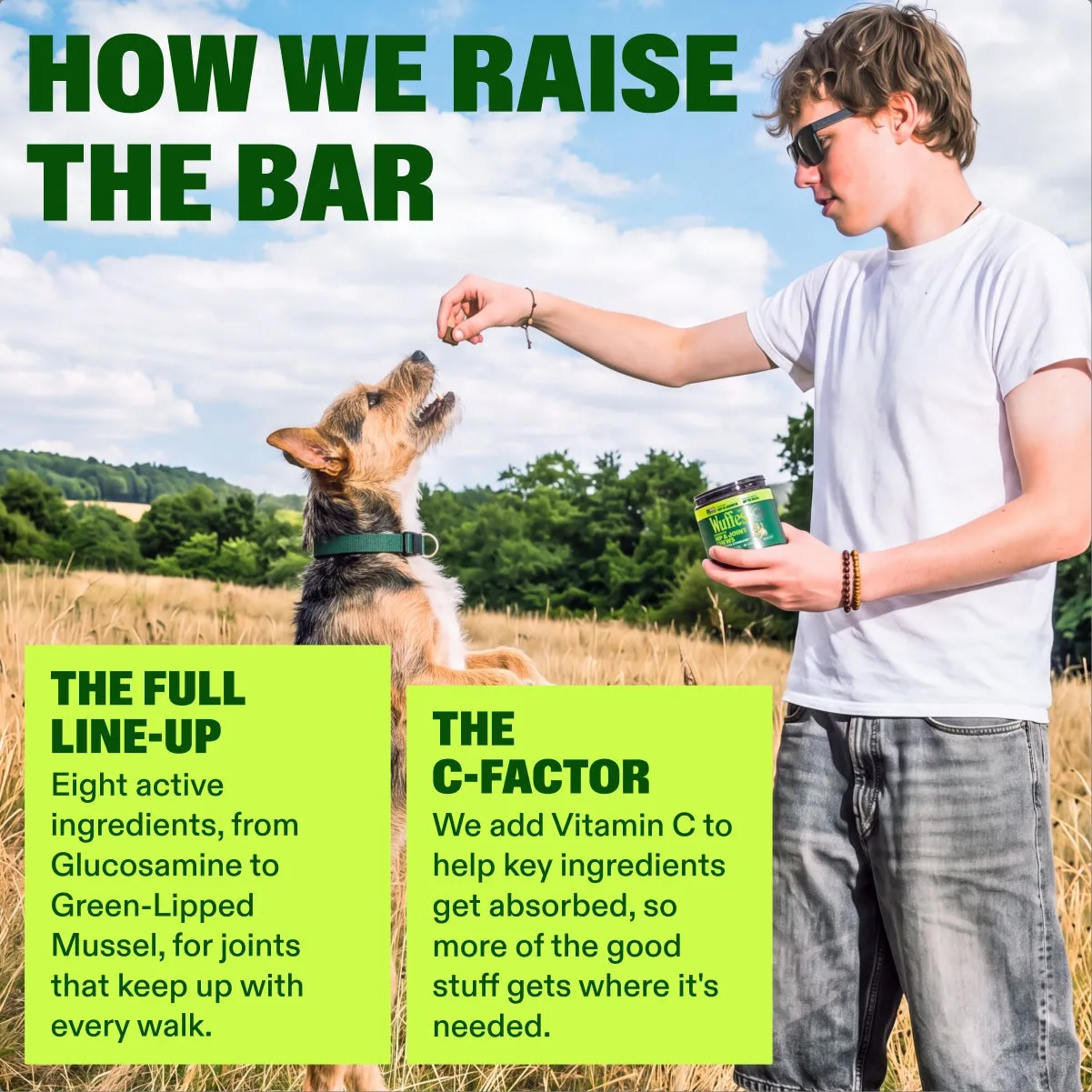 Advanced Hip & Joint Chews slide: how we raise the bar. the full line-up. the C-factor. Eight active ingredients, from Glucosamine to Green-Lipped Mussel, for joints that keep up with every walk. We add Vitamin C to help key ingredients get absorbed, so more of the good stuff gets where it's needed.