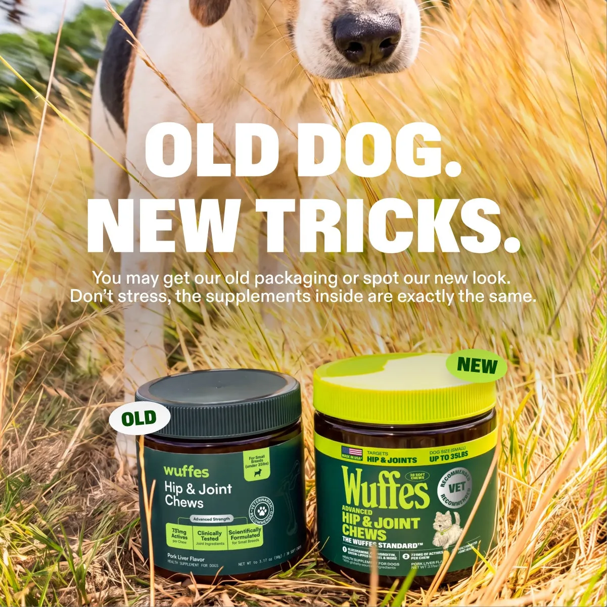 Advanced Hip & Joint Chews slide: Old dog. New tricks. You may get our old packaging or spot our new look. Don’t stress, the supplements inside are exactly the same.