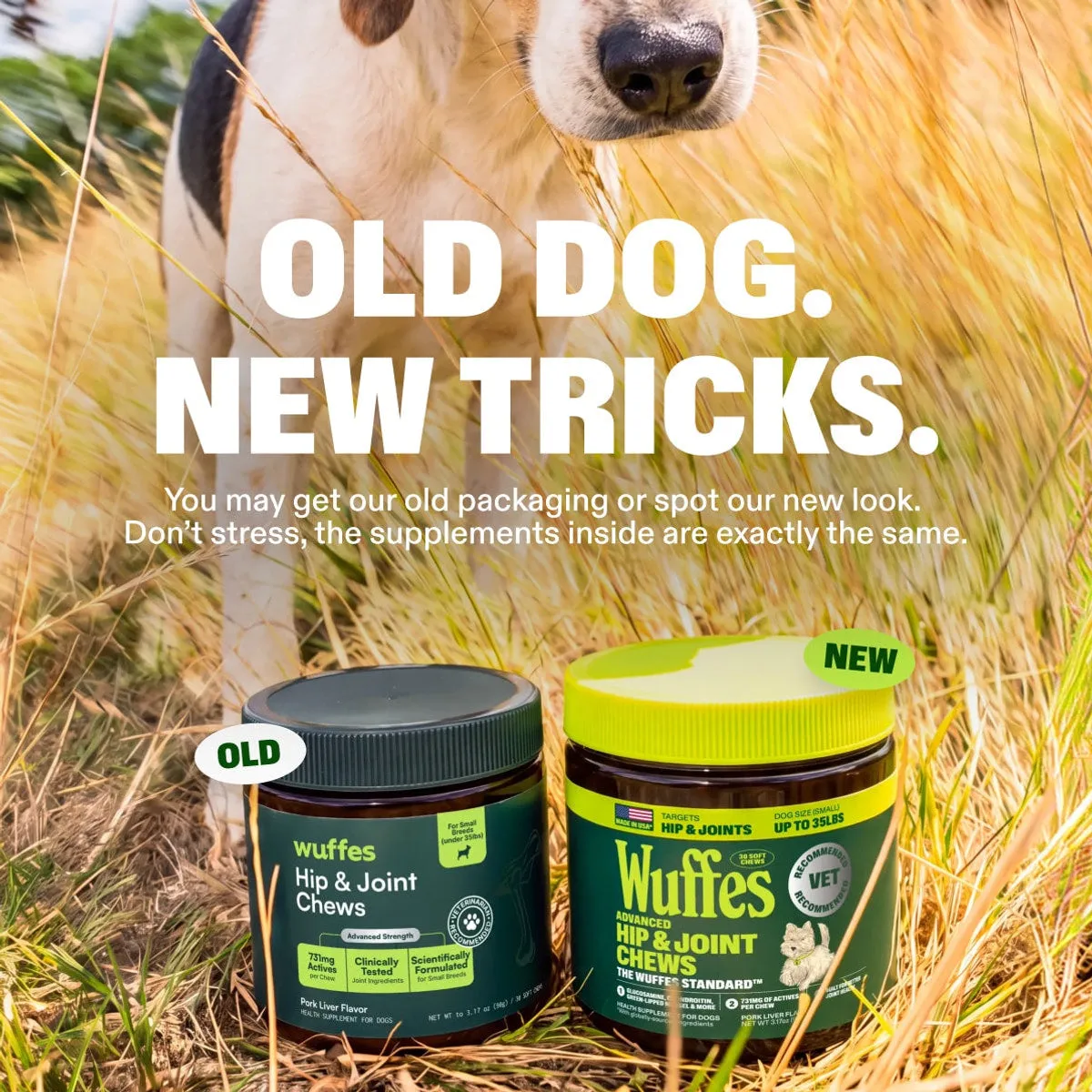 Advanced Hip & Joint Chews slide: Old dog. New tricks. You may get our old packaging or spot our new look. Don’t stress, the supplements inside are exactly the same.