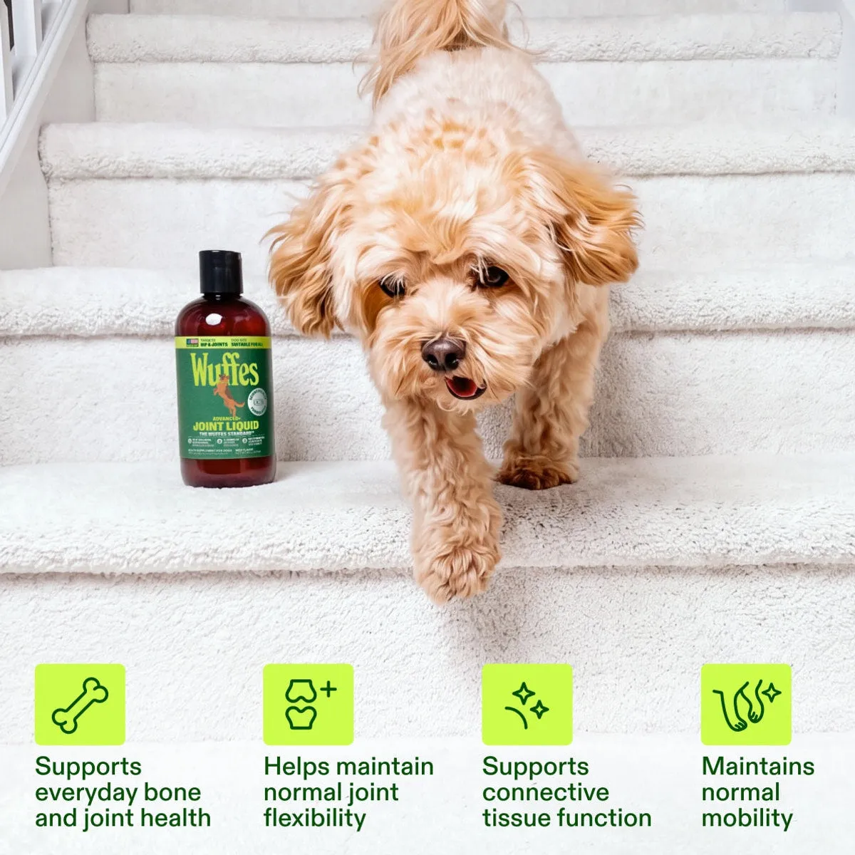 Advanced+ Joint Liquid slide: Supports everyday bone and joint health. Helps maintain normal joint flexibility. Supports connective tissue function. Maintains normal mobility.