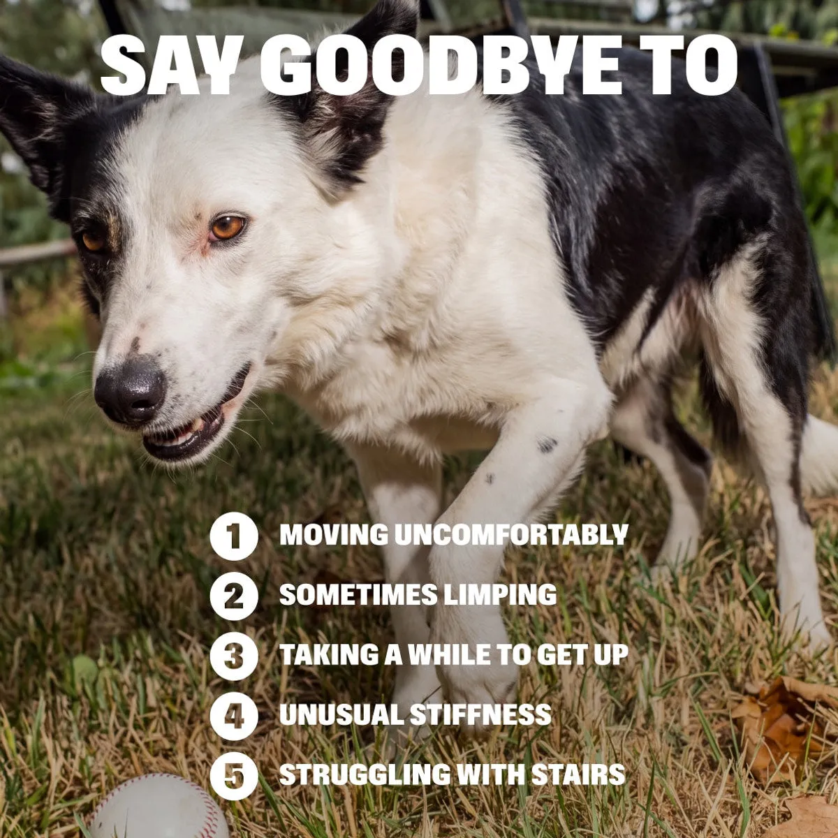 Advanced+ Joint Liquid slide: SAY GOODBYE TO. MOVING UNCOMFORTABLY. SOMETIMES LIMPING. TAKING A WHILE TO GET UP. UNUSUAL STIFFNESS. STRUGGLING WITH STAIRS.