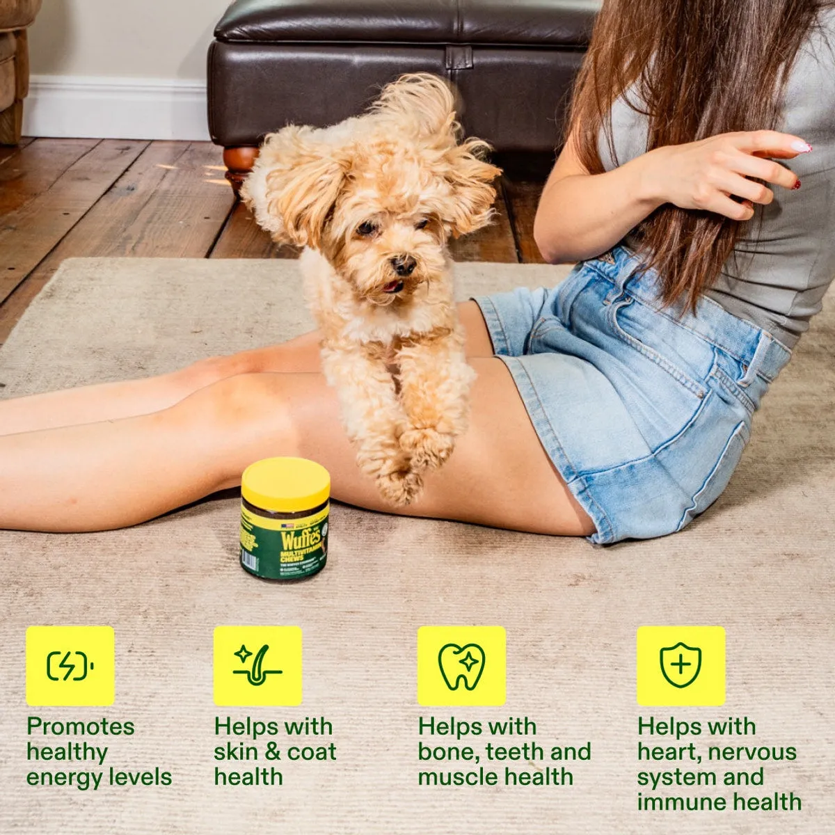 Multivitamin Chews slide: Promotes healthy energy levels. Helps with skin & coat health. Helps with bone, teeth and muscle health. Helps with heart, nervous system and immune health.