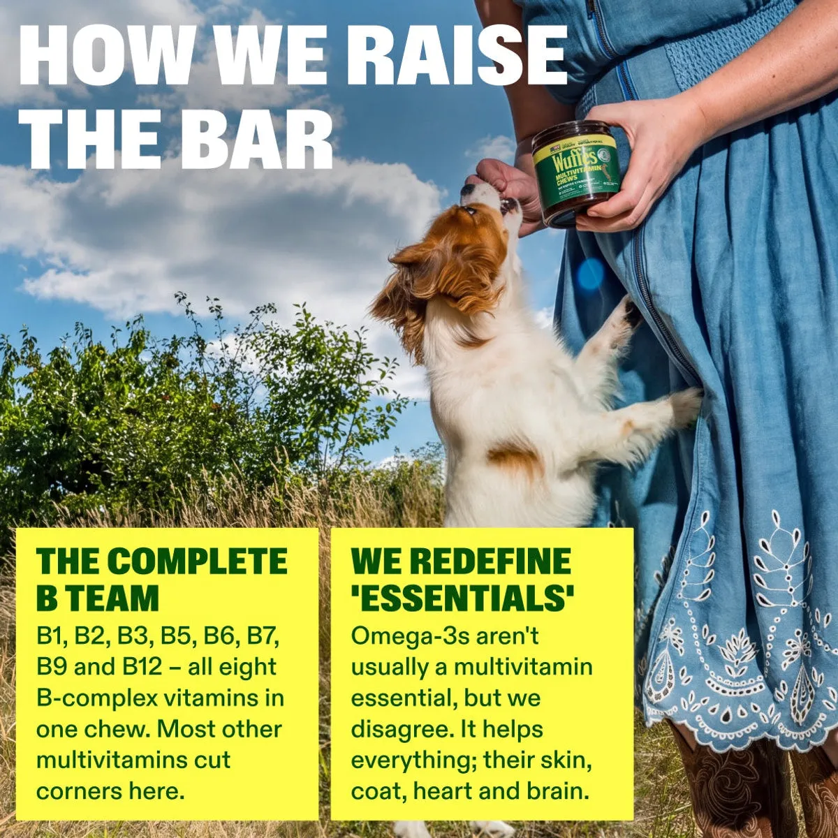Multivitamin Chews slide: how we raise the bar. THE COMPLETE B TEAM. WE REDEFINE 'ESSENTIALS'. B1, B2, B3, B5, B6, B7, B9 and B12 – all eight B-complex vitamins in one chew. Most other multivitamins cut corners here. Omega-3s aren't usually a multivitamin essential, but we disagree. It helps everything; their skin, coat, heart and brain.