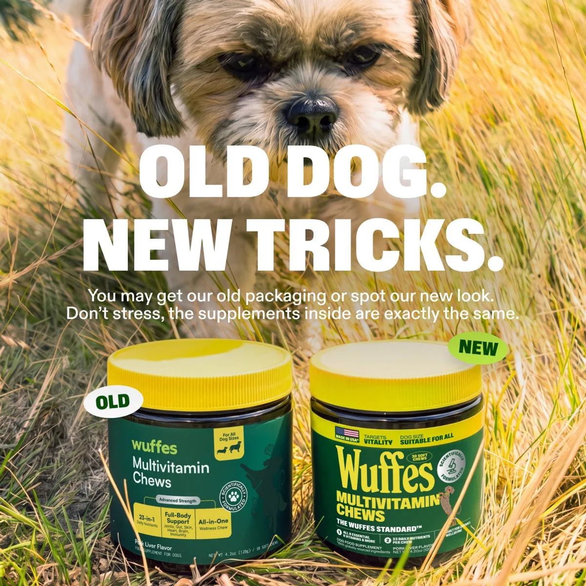 Multivitamin Chews slide: Old dog. New tricks. You may get our old packaging or spot our new look. Don’t stress, the supplements inside are exactly the same.