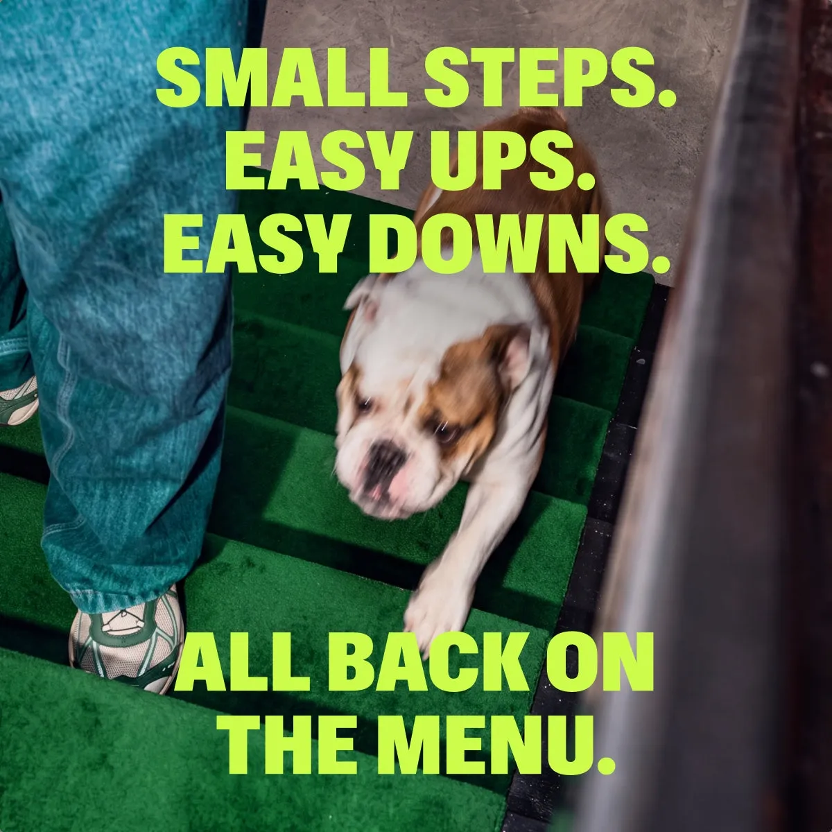 Red Light Laser Joint Therapy Device slide: SMALL STEPS. EASY UPS. EASY DOWNS. ALL BACK ON THE MENU.