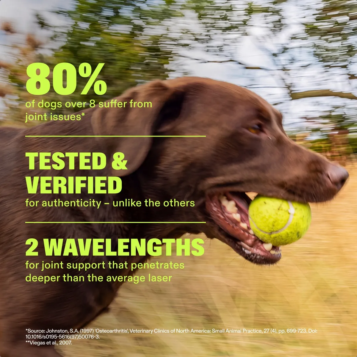 Red Light Laser Joint Therapy Device slide: 80% of dogs over 8 suffer from joint issues*. TESTED & VERIFIED for authenticity – unlike the others. 2 WAVELENGTHS for joint support that penetrates deeper than the average laser. *Source: Johnston, S.A. (1997) 'Osteoarthritis', Veterinary Clinics of North America: Small Animal Practice, 27 (4), pp. 699-723. **Viegas et al., 2007.