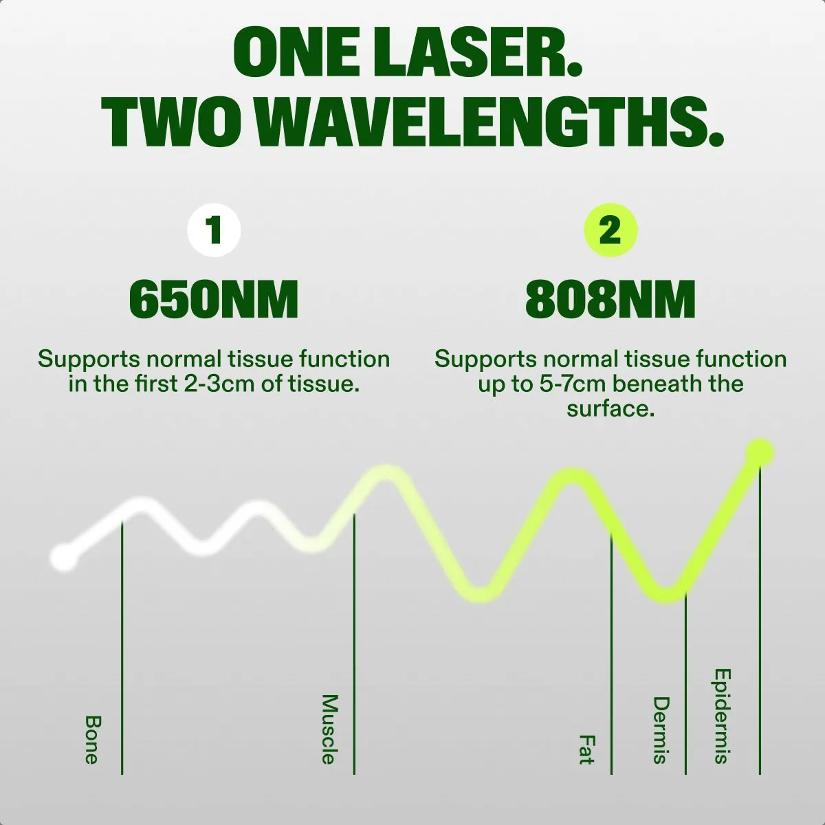 Red Light Laser Joint Therapy Device slide: ONE LASER. TWO WAVELENGTHS. 650NM. 808NM. Supports normal tissue function in the first 2-3cm of tissue. Supports normal tissue function up to 5-7cm beneath the surface. Muscle. Dermis. Epidermis. Bone. Fat.