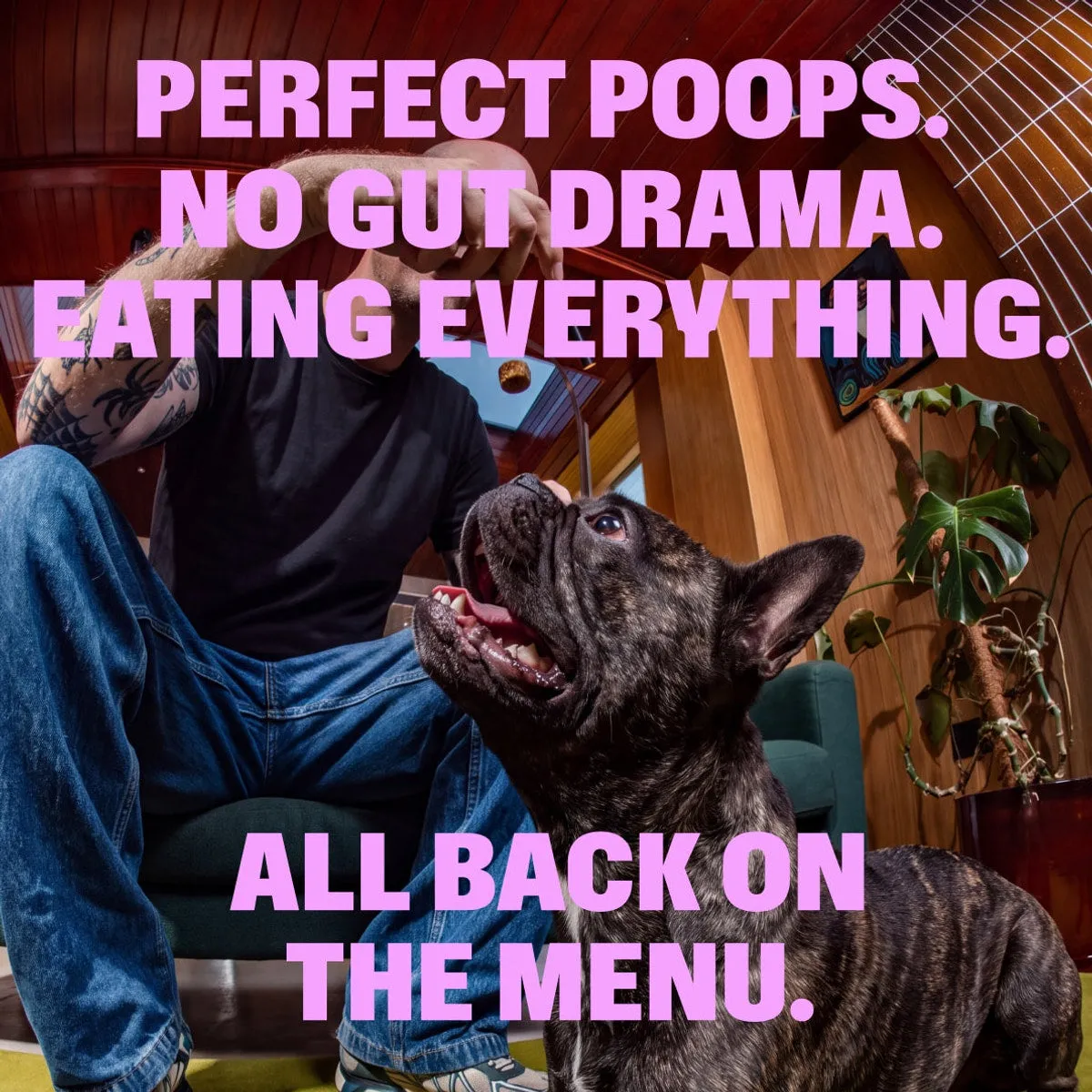 Probiotic Chews slide: PERFECT POOPS. NO GUT DRAMA. EATING EVERYTHING. ALL BACK ON THE MENU.