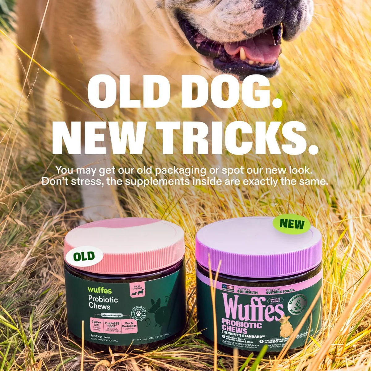 Probiotic Chews slide: Old dog. New tricks. You may get our old packaging or spot our new look. Don’t stress, the supplements inside are exactly the same.