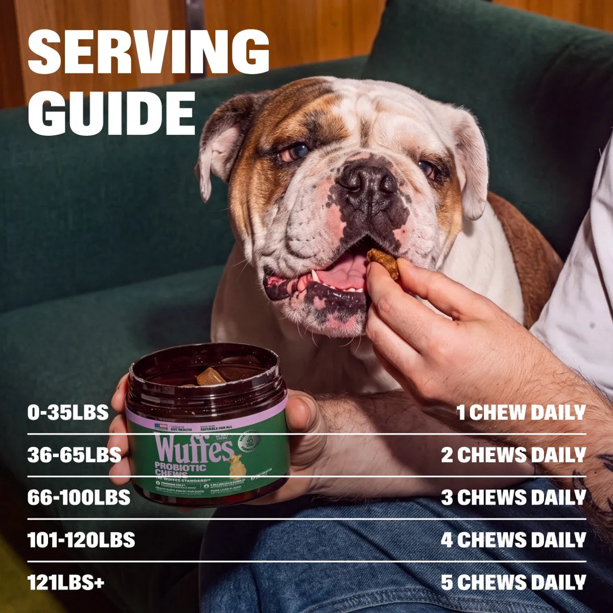 Probiotic Chews slide: serving guide. 0-35lbs. 1 Chew Daily. 36-65lbs. 2 Chews Daily. 66-100lbs. 3 Chews Daily. 101-120lbs. 4 Chews Daily. 121lbs+. 5 Chews Daily.
