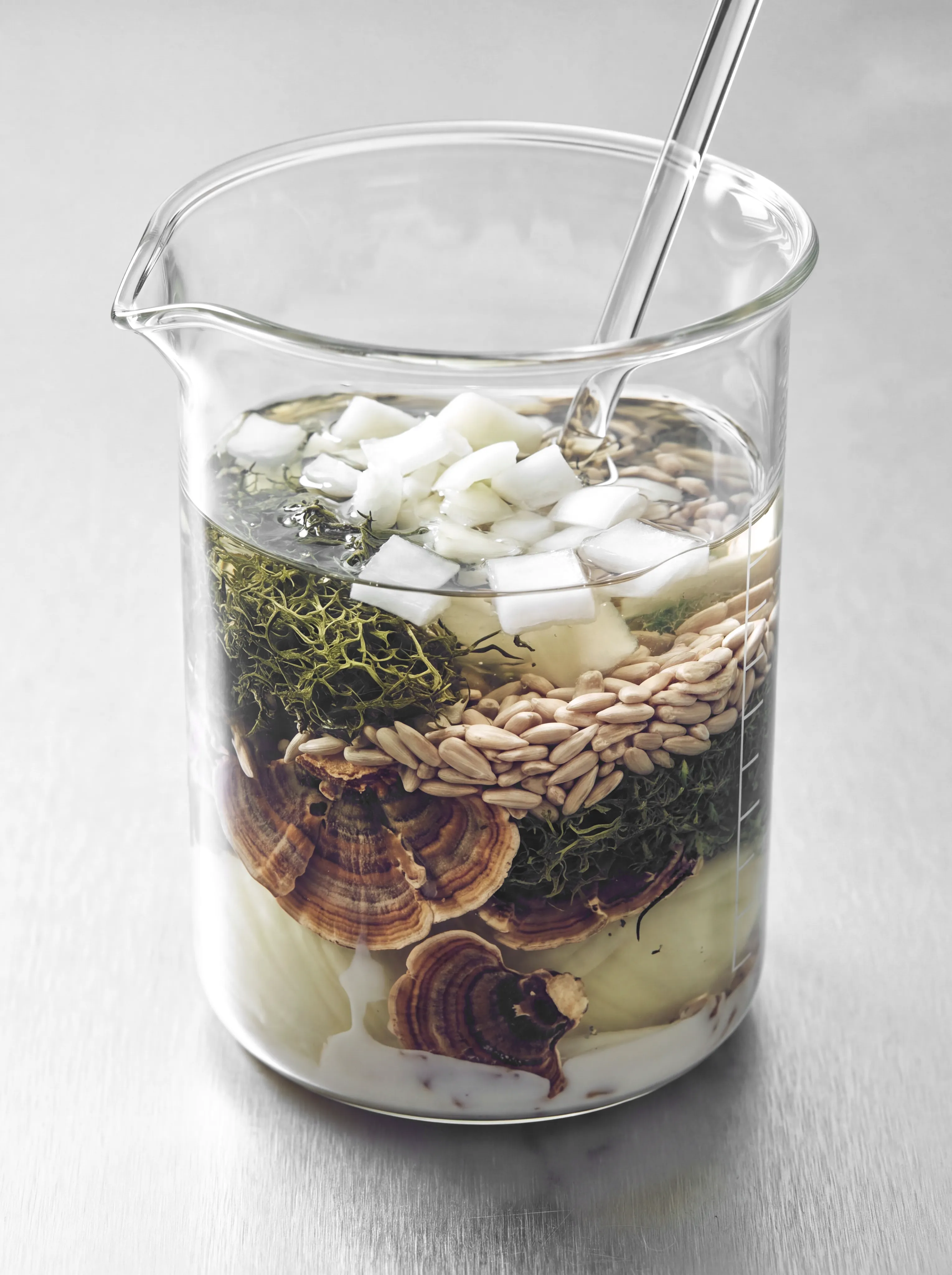 A glass laboratory beaker holding water, chopped coconut, seeds, dried herbs and a mushroom, with a glass stirring rod resting inside