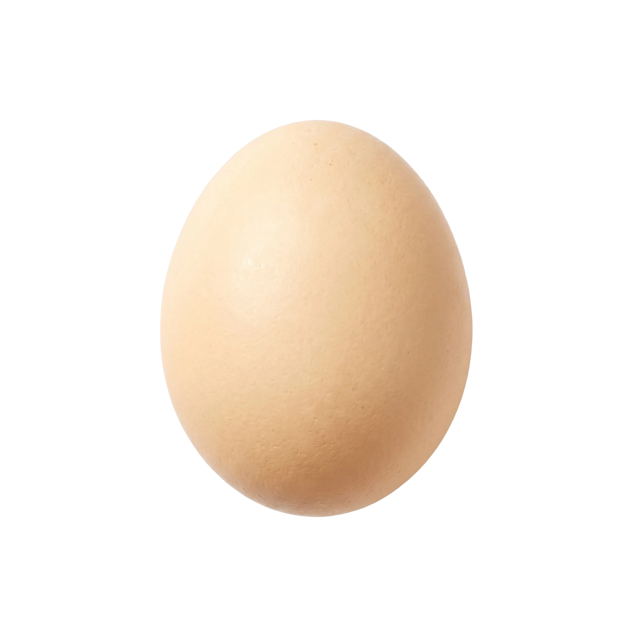 A single whole light-brown hen's egg standing upright