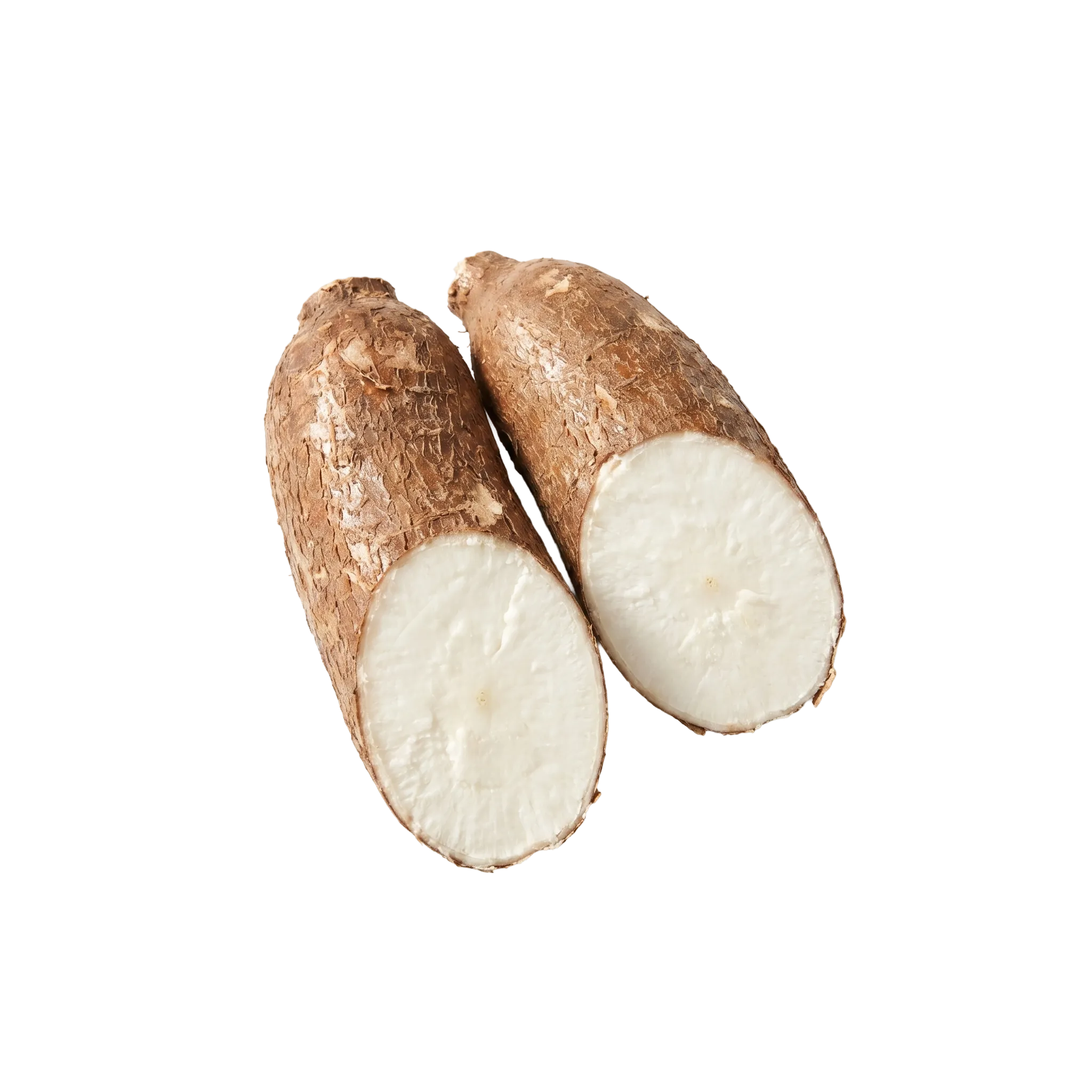 Two cassava roots with bark-like brown skin, cut to show their white flesh, the root tapioca starch comes from